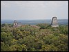 Tikal - DSC01584.JPG