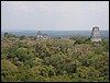 Tikal - DSC01585.JPG