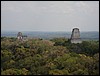 Tikal - DSC01589.JPG