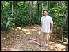 Tikal - DSC01591.JPG