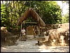 Tikal - DSC01598.JPG