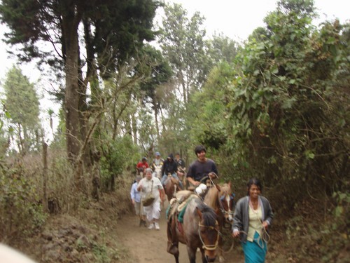 Volcan de Pacaya - DSC01008.JPG