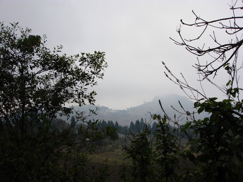 Volcan de Pacaya - DSC01009.JPG