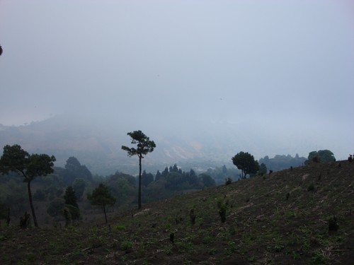 Volcan de Pacaya - DSC01012.JPG