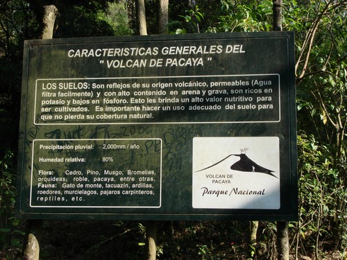 Volcan de Pacaya - DSC01017.JPG