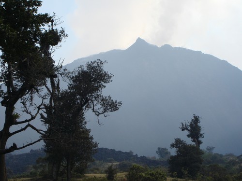 Volcan de Pacaya - DSC01025.JPG