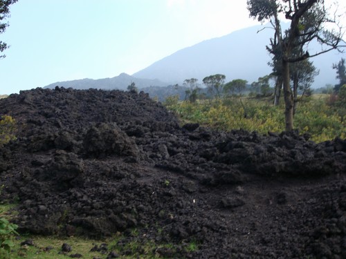 Volcan de Pacaya - DSC01027.JPG