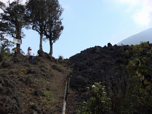 Volcan de Pacaya - DSC01029.JPG
