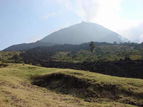 Volcan de Pacaya - DSC01032.JPG