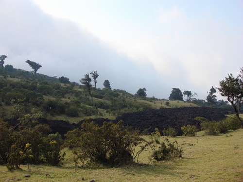 Volcan de Pacaya - DSC01038.JPG