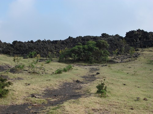 Volcan de Pacaya - DSC01042.JPG