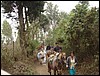Volcan de Pacaya - DSC01008.JPG