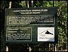 Volcan de Pacaya - DSC01017.JPG