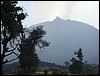 Volcan de Pacaya - DSC01025.JPG
