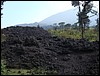 Volcan de Pacaya - DSC01027.JPG