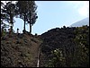 Volcan de Pacaya - DSC01029.JPG