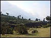 Volcan de Pacaya - DSC01038.JPG